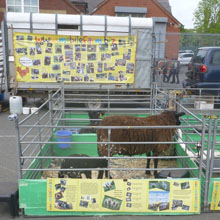 Fishers Mobile Farm visit to Werneth Primary School 2017